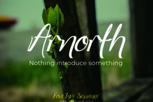 Arnorhth: The Cool Display Font for Standout Craft Brands