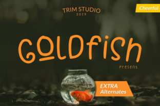 Goldfish Display Font for Whimsical Brand Identity