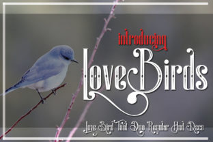 LoveBirds: A Romantic Display Font for Editorial Design